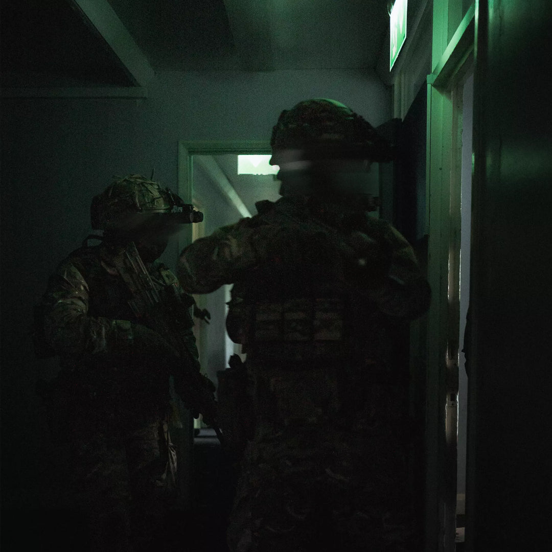 WORKING WITH THE STRESS RESPONSE